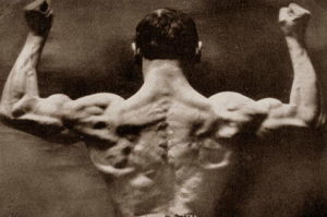 Read more about the article The Bronze Era of Bodybuilding
